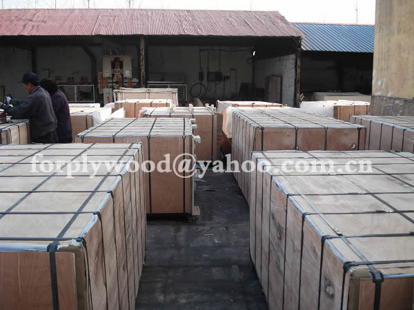 XUZHOU SHENQIANG PLYWOOD CO.,LTD ,http://www.plywoodcn.com