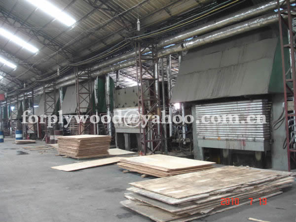 XUZHOU SHENQIANG PLYWOOD CO.,LTD ,http://www.plywoodcn.com