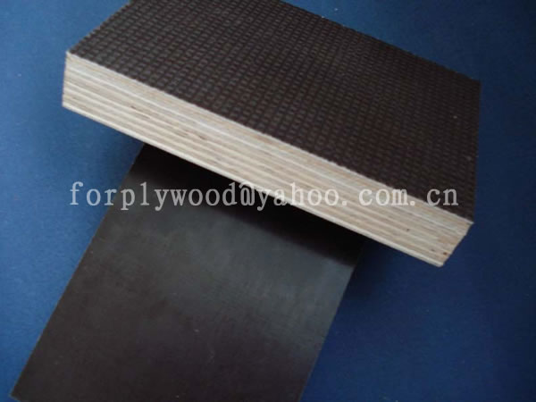 XUZHOU SHENQIANG PLYWOOD CO.,LTD ,http://www.plywoodcn.com