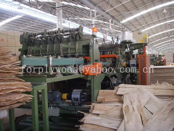 XUZHOU SHENQIANG PLYWOOD CO.,LTD ,http://www.plywoodcn.com