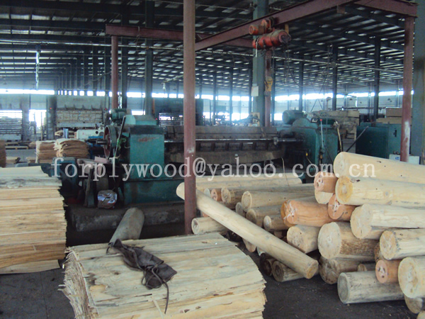 XUZHOU SHENQIANG PLYWOOD CO.,LTD ,http://www.plywoodcn.com