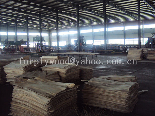 XUZHOU SHENQIANG PLYWOOD CO.,LTD ,http://www.plywoodcn.com