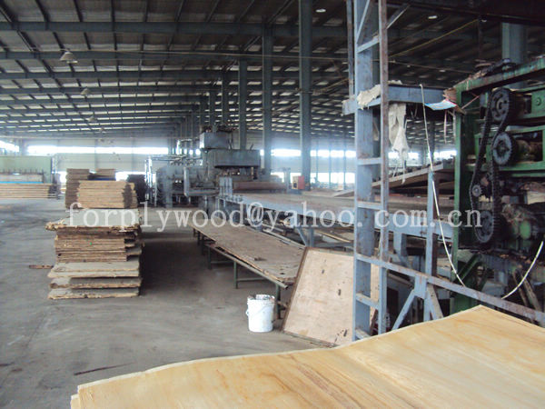 ,JIANGSU SHENQIAN PLYWOOD CO.,LTD