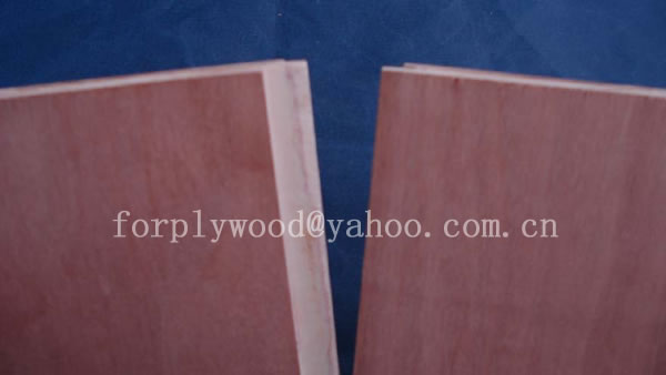 XUZHOU SHENQIANG PLYWOOD CO.,LTD ,http://www.plywoodcn.com