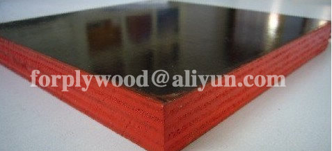 XUZHOU SHENQIANG PLYWOOD CO.,LTD ,http://www.plywoodcn.com