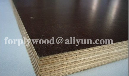 XUZHOU SHENQIANG PLYWOOD CO.,LTD ,http://www.plywoodcn.com